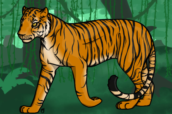 tiger