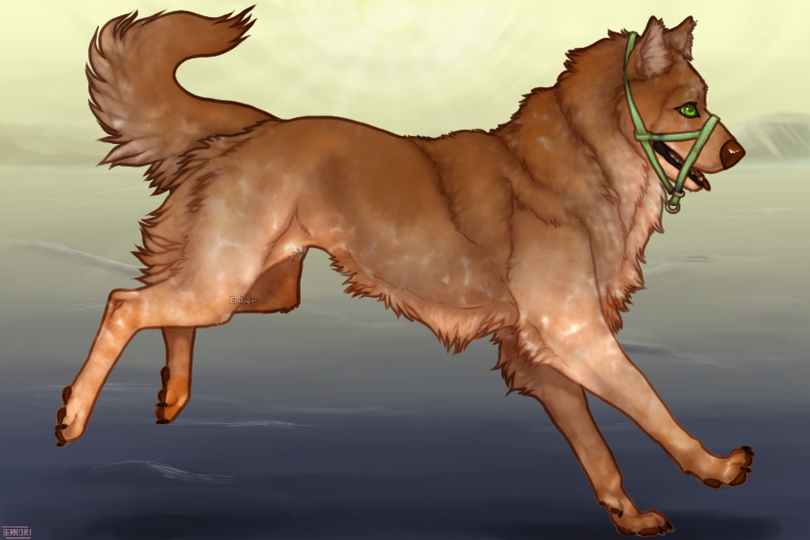 Sevrin - Beranhund #57