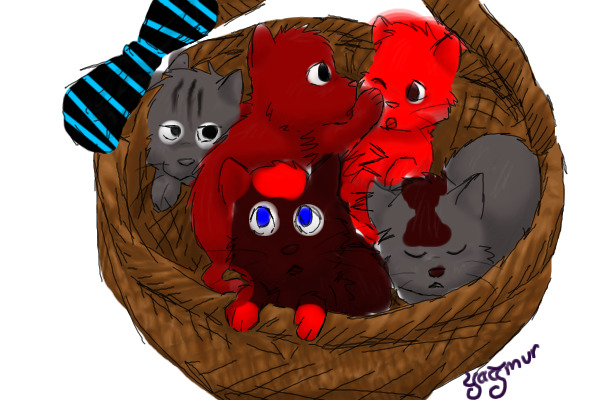 shadow and bloodfang's kittens