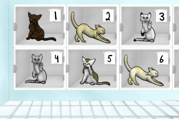 Kitties c: