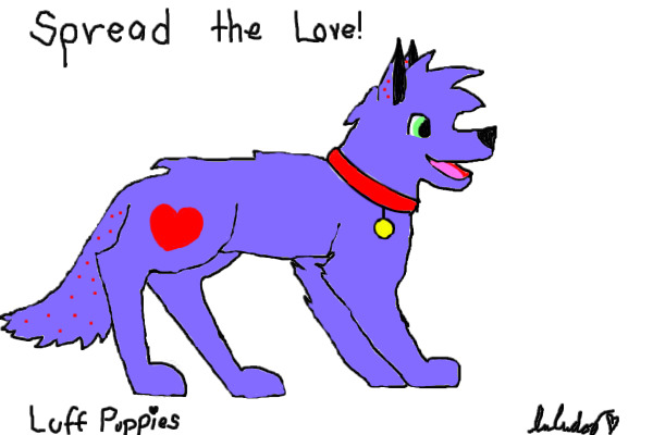 luff puppy adult
