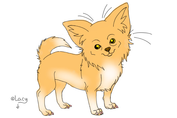 Paco