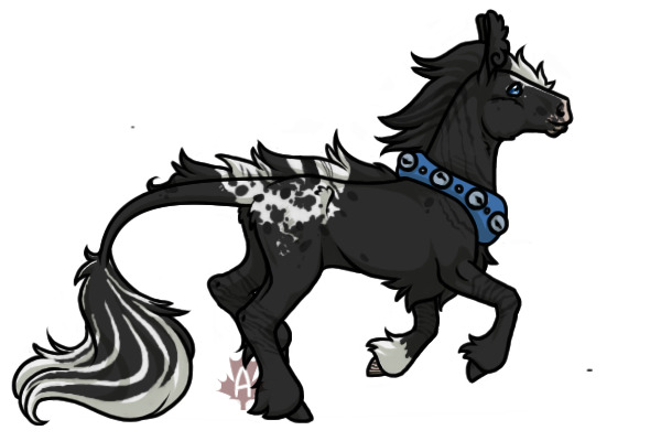 Cooro transparent background