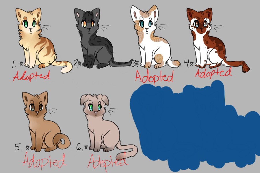 Cat Adoptables
