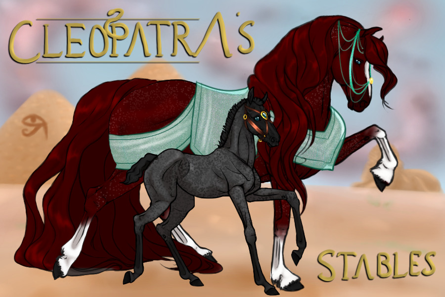 Cleopatra's Stables' Arabians Artist Search Ongoing