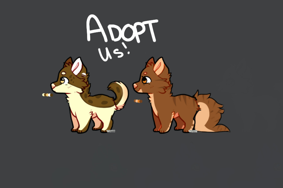 Adopts!