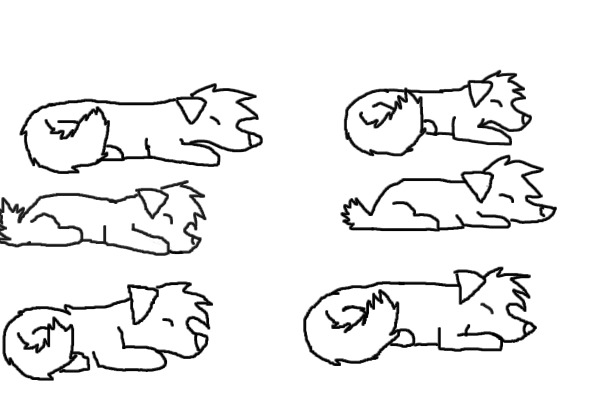 Luff puppies newborns
