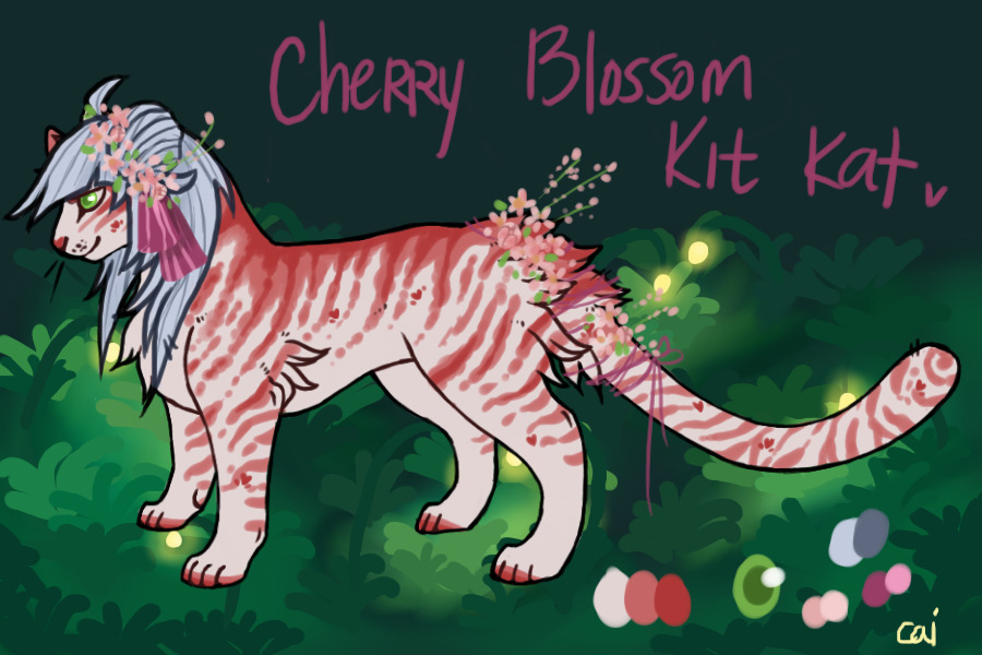 Cherry Blossom Kit Kat