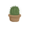 Lil Cacti