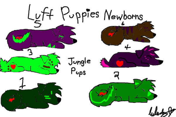 Luff puppies newborns