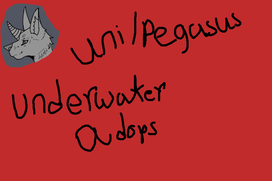 Under water Unicorn/Pegasus dog adopts