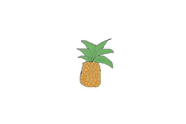 Pineapple Adopts