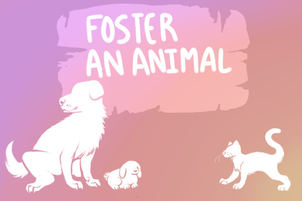 Foster an Animal (Round 5)