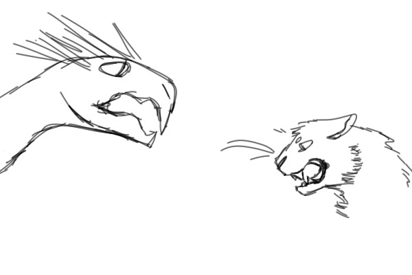 thing and a big kitty