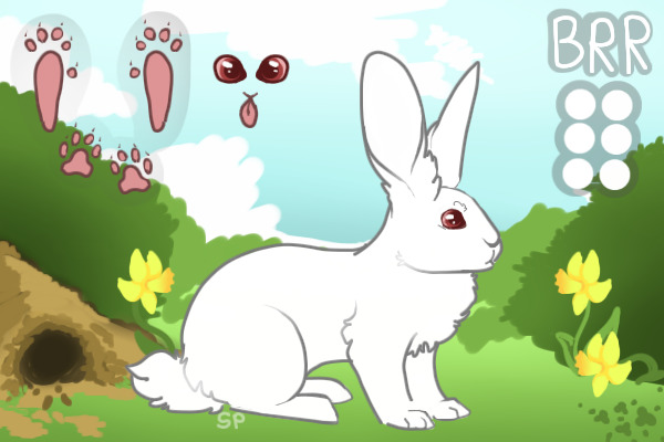 Berry Ridge Rabbitary - Partial Arpg