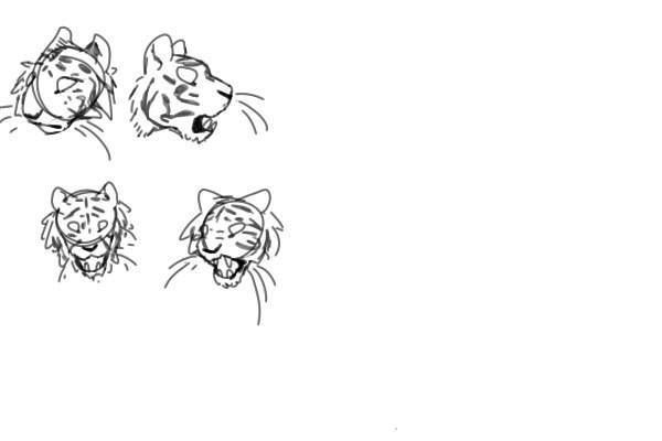 BIG KITTY Sketches