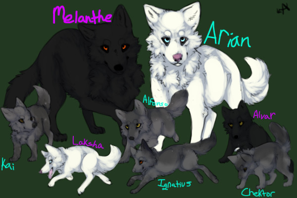 Melanthe and Arian's Pups
