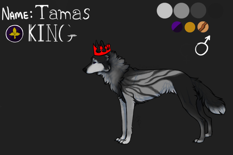 King Tamas : Kingdom of Acortica