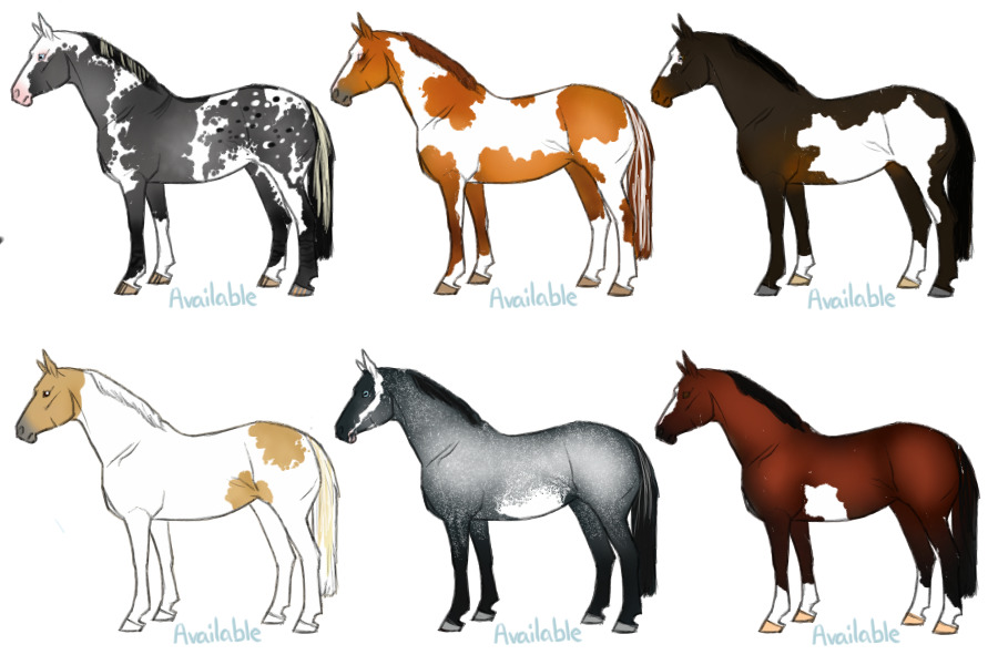 Horse designs for c$