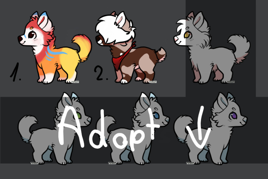 Pups for sale! [4/11 open]
