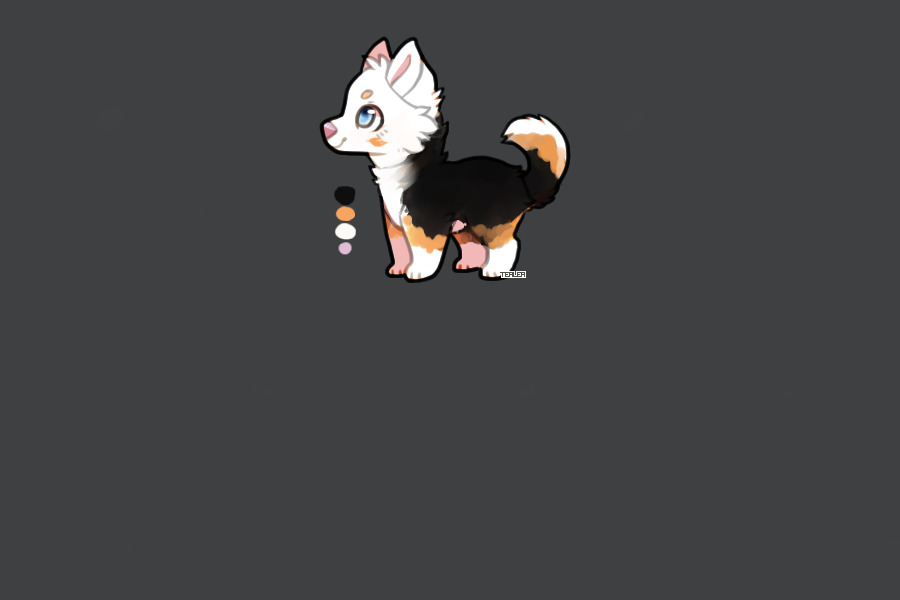 Rinvit ref