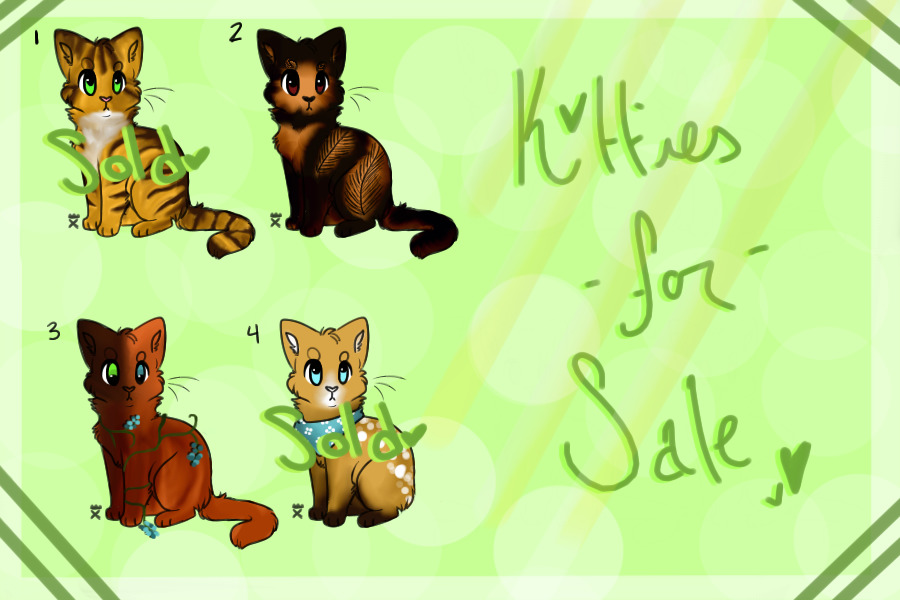 Kitties for Sale [flat sales, negotiable]