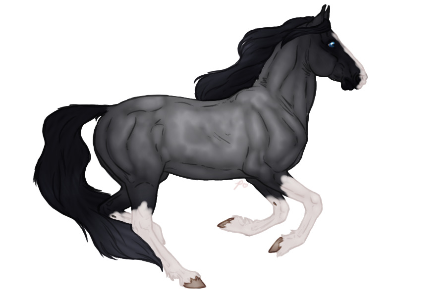 Seraeyn Mustang #026 | Smoky Blue Roan| CLOSED