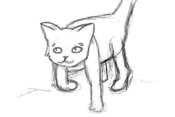some sort of cat sketch :|
