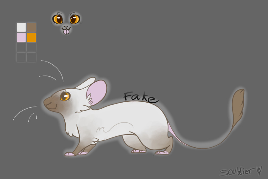 Chim entry 3 [ Final entry ]