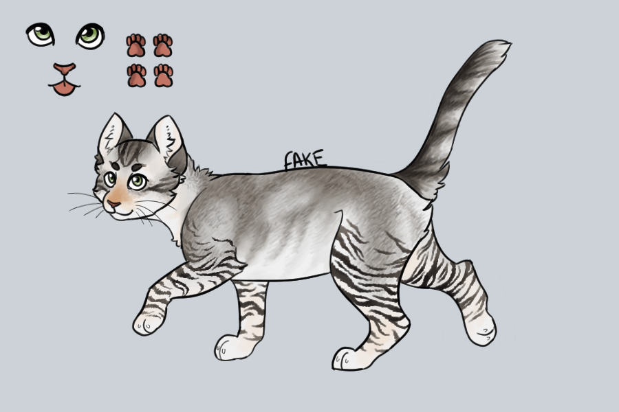 [Entry 2] Brown ticked tabby