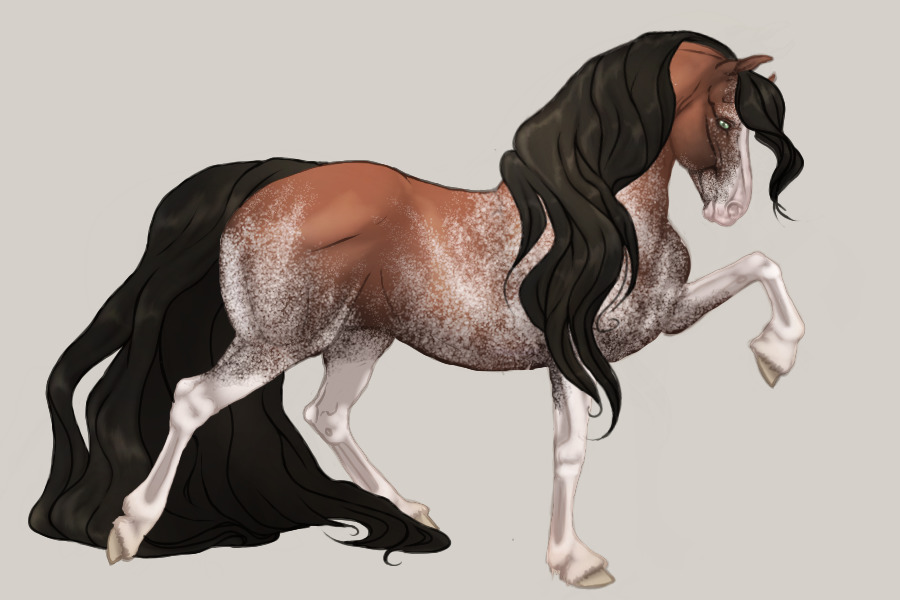 w/o tack -