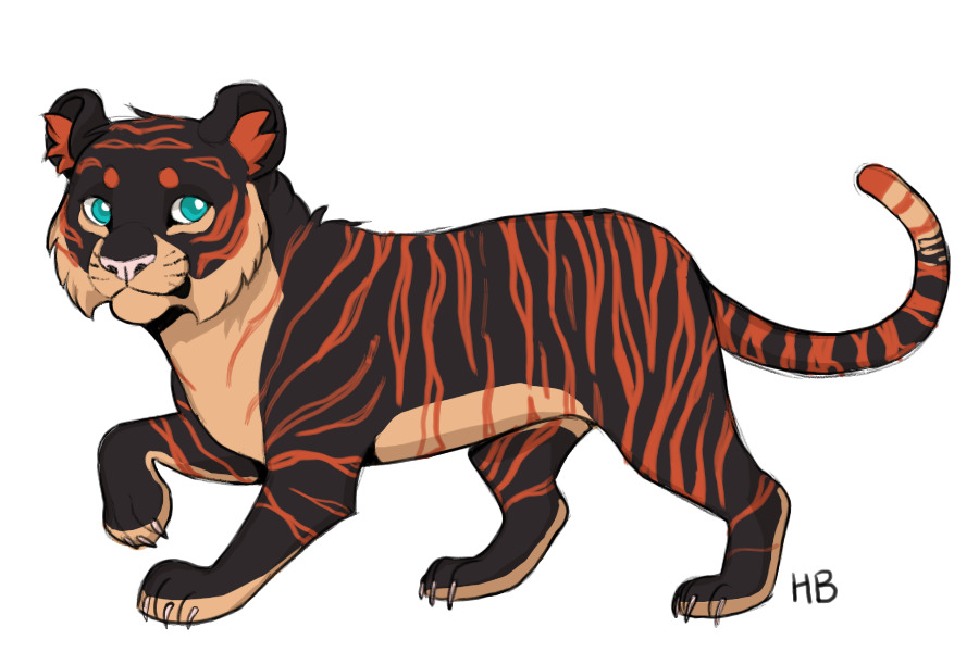 Tiger Boi