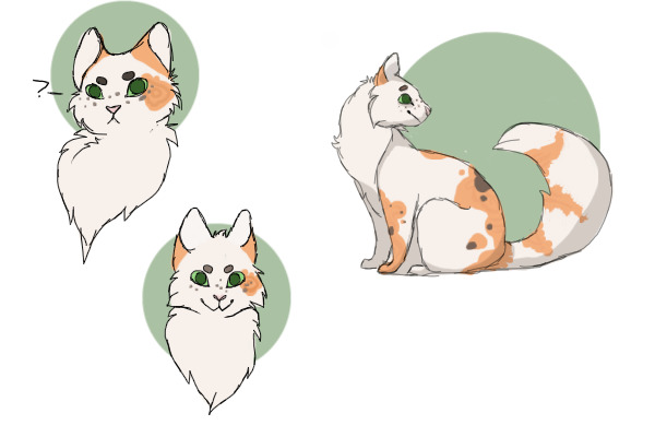 Some cats for <sandfeather>