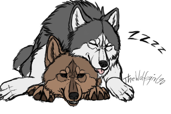 Wolves sleeping