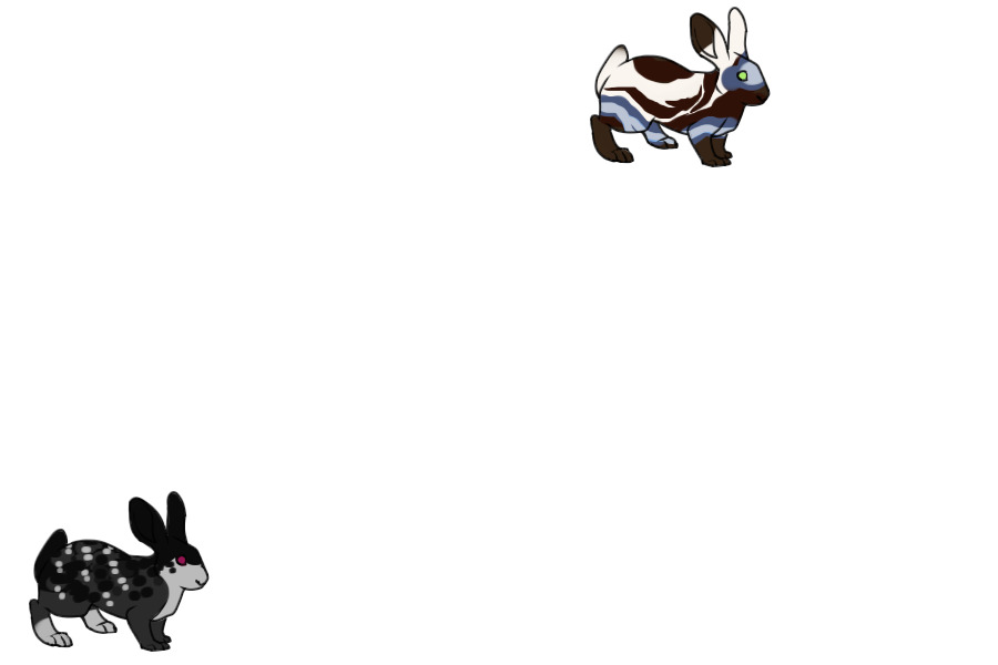 My Bunnies