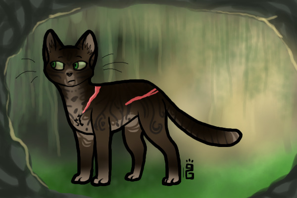 :{| see through my eyes |}: entry i.