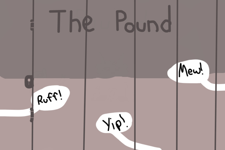 The Pound {Remake}