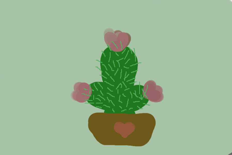 cactus buddy