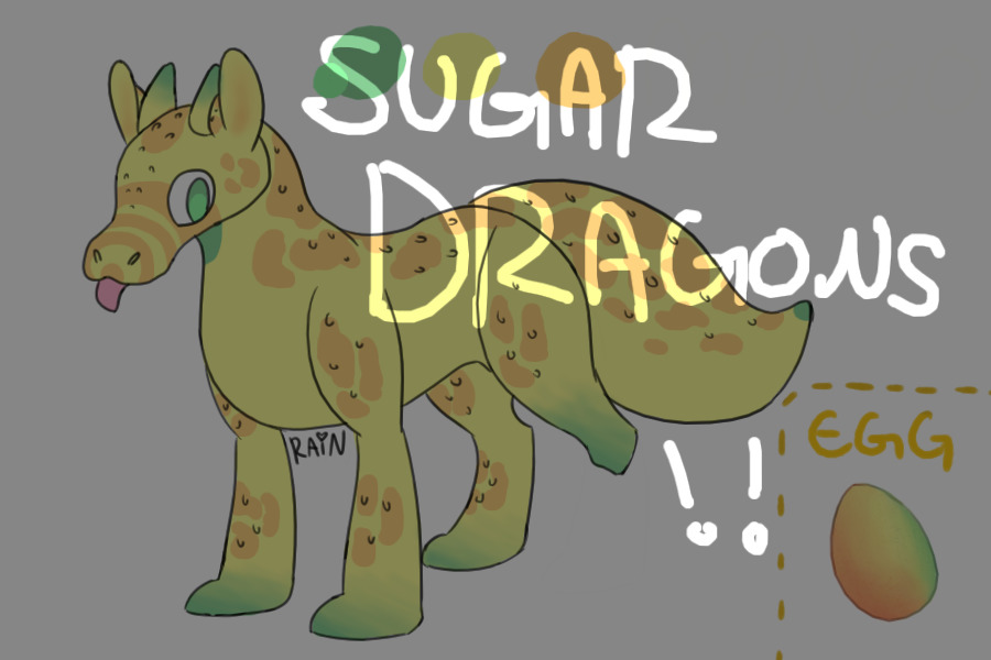 sugar dragon adopts