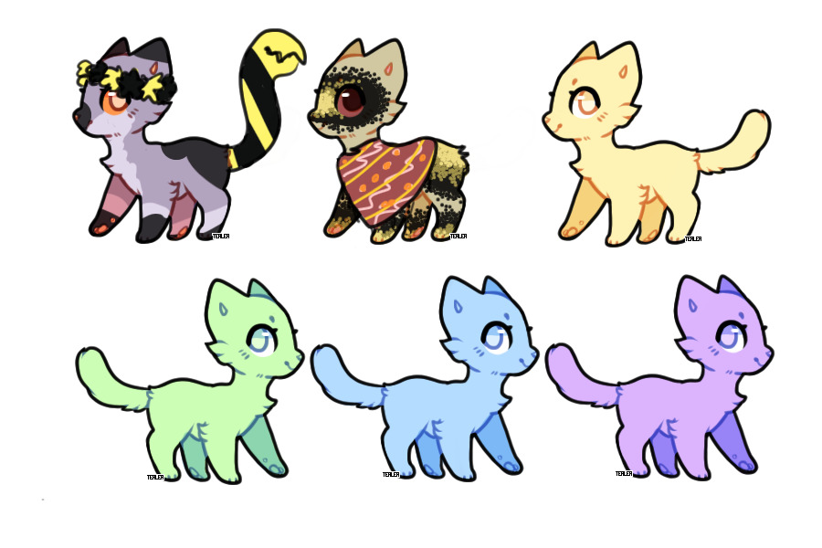 offer to adopt kitties