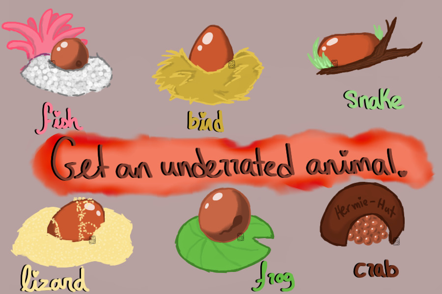 Color an egg and get an underrated animal  ♥