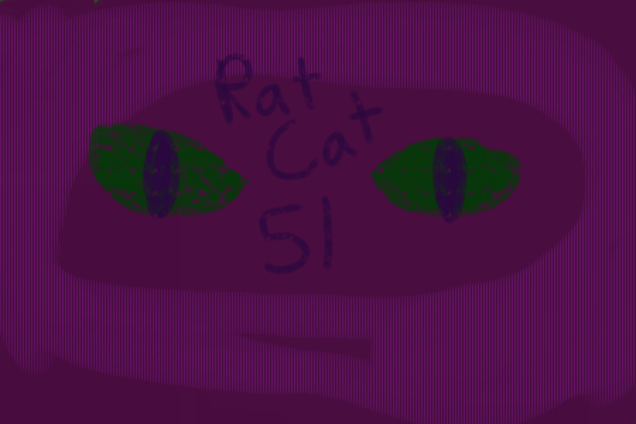 RatCat #51