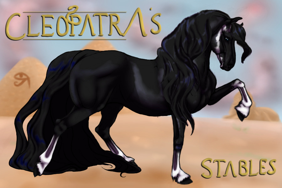 Jet Black Badger Face