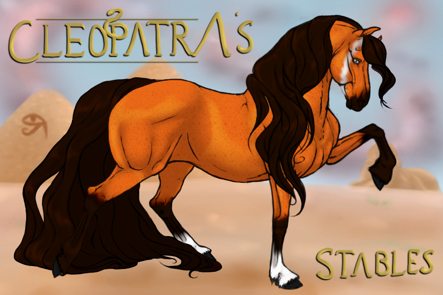 Buckskin Badger Face