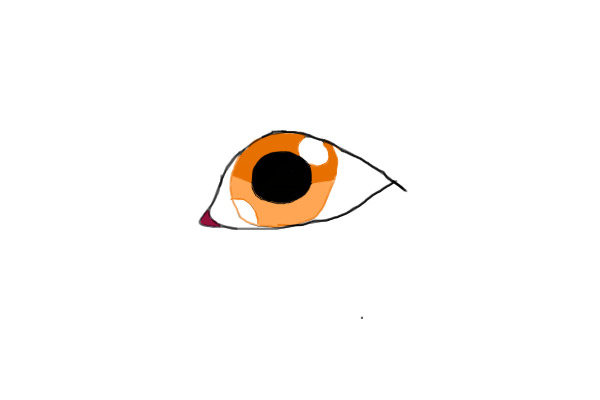 eye...?