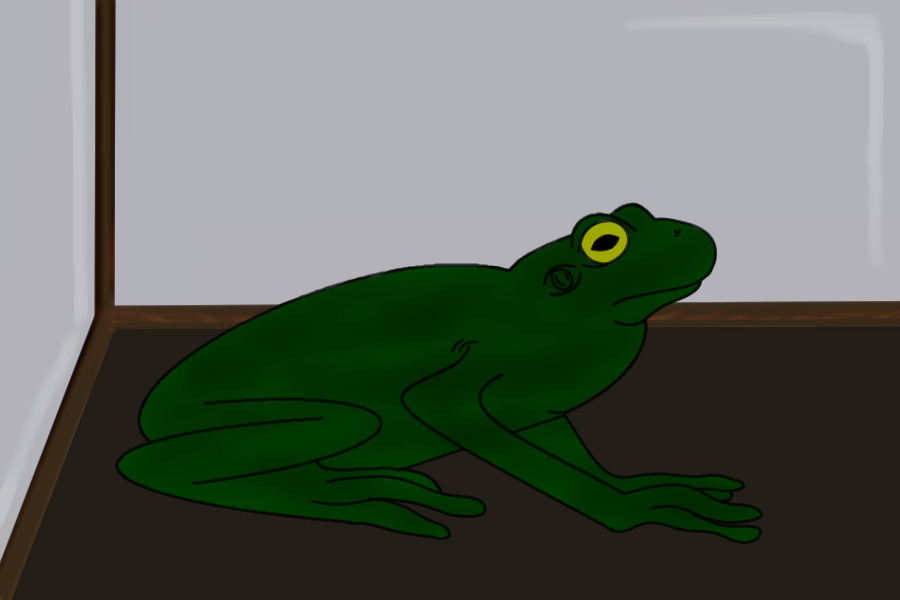 My underrated frog entry