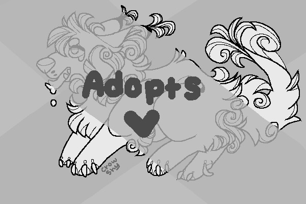 Curly Dog | Adopts