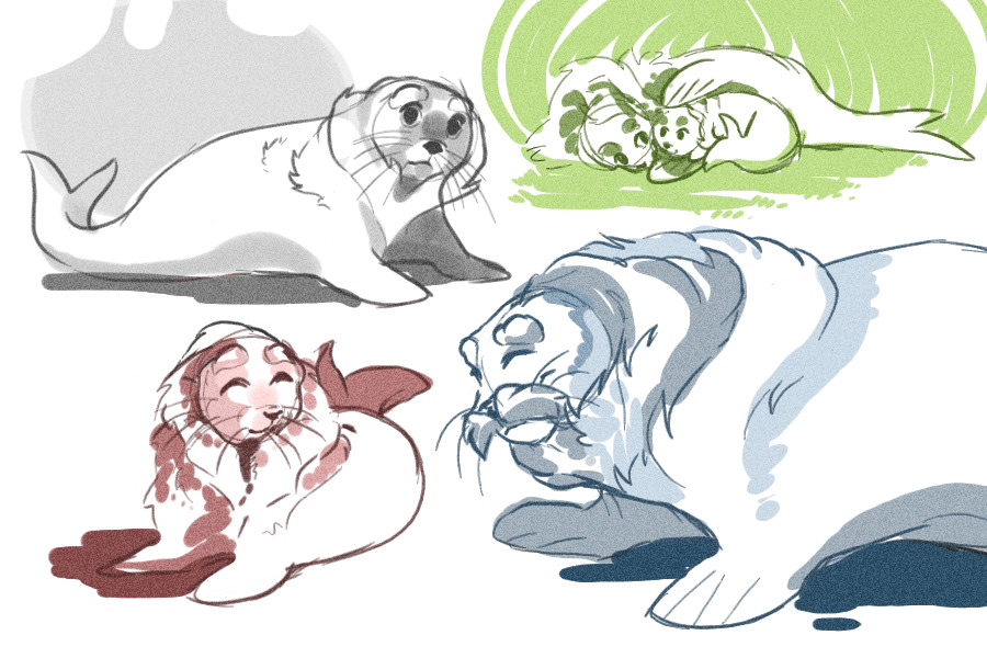 Furry seal species