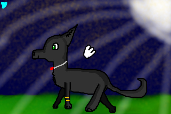 Raven