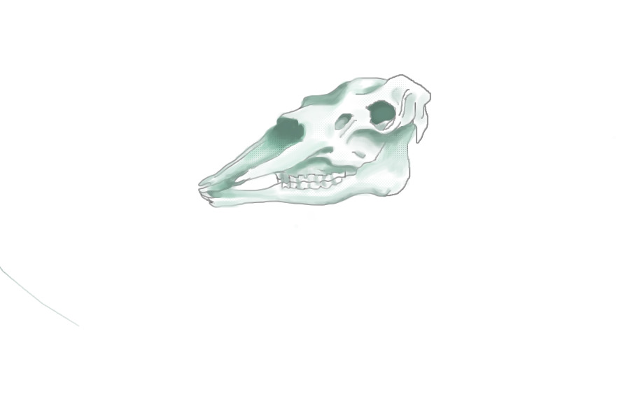 skull/shading practice